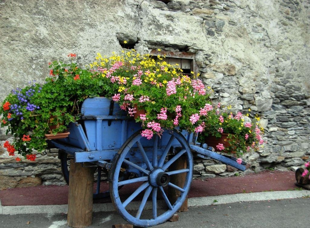 Fleurs au Verney