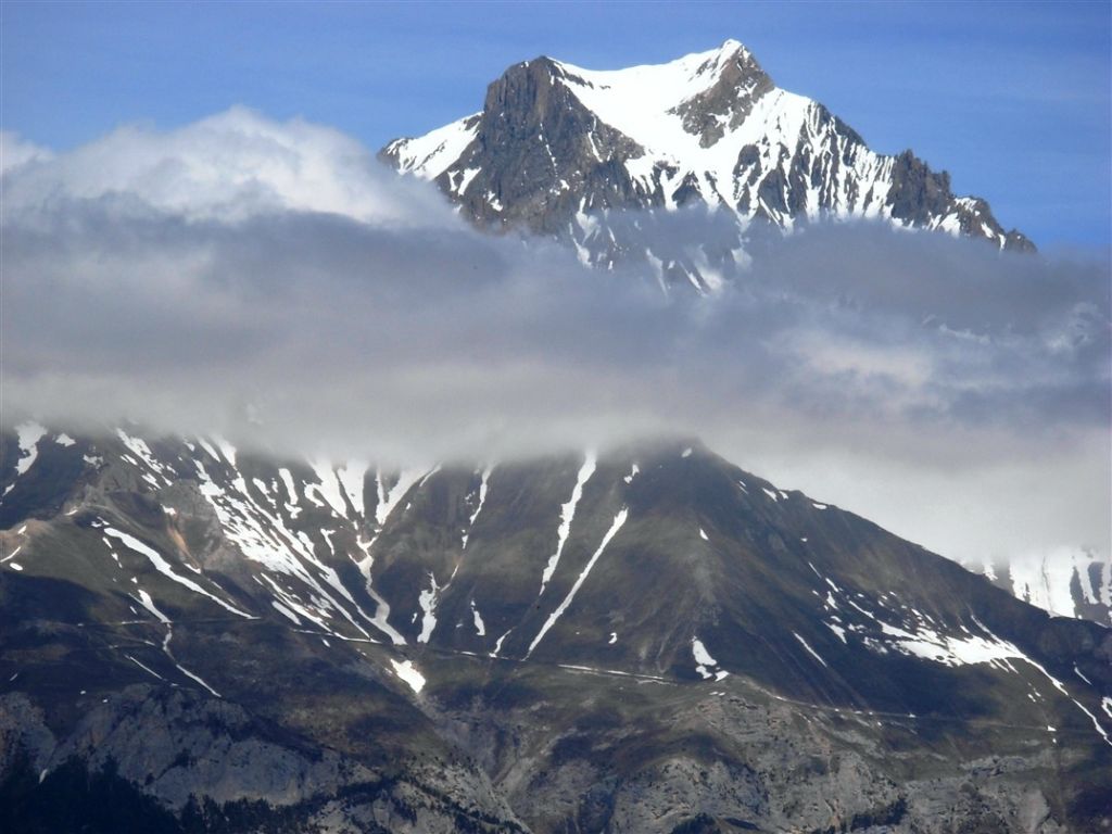La Parraché dans son cocon